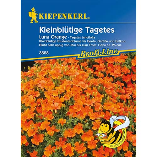 Tagetes Luna Orange interface.art Bild 1 Tagetes Luna Orange interface.image 1 interface.art 86348