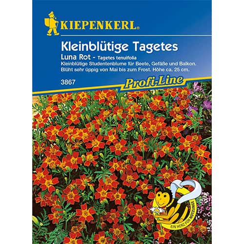 Tagetes Luna Rot interface.art Bild 1 Tagetes Luna Rot interface.image 1 interface.art 86349