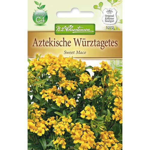Würz-Tagetes Sweet Mace interface.art Bild 1 Würz-Tagetes Sweet Mace interface.image 1 interface.art 78942