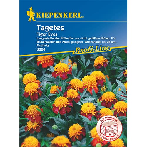 Tagetes Tiger Eyes interface.art Bild 1 Tagetes Tiger Eyes interface.image 1 interface.art 87266