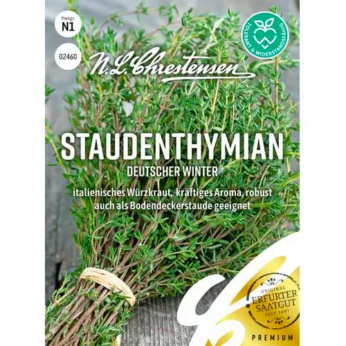 Thymian mehrjährig Deutscher Winter Chrestensen  interface.art Bild 1 Thymian mehrjährig Deutscher Winter Chrestensen  interface.image 1 interface.art 50056