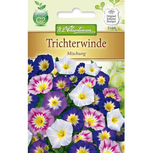 Trichtenwinde Mischung interface.art Bild 1 Trichtenwinde Mischung interface.image 1 interface.art 78904