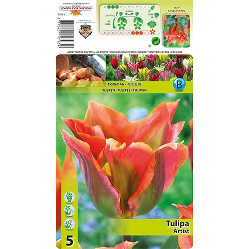Tulpe Artist interface.art Bild 1 Tulpe Artist interface.image 1 interface.art 68401