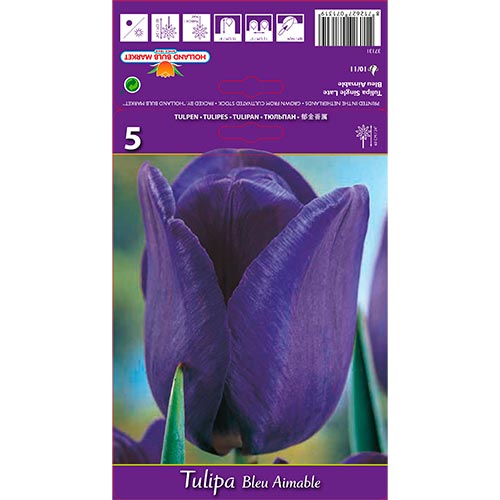 Tulpe Blue Aimable interface.image 1 interface.art 67705