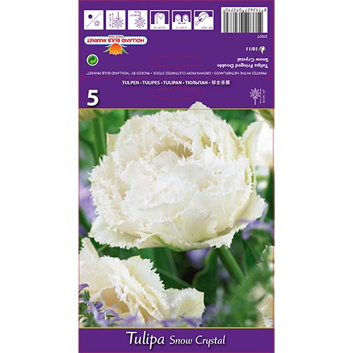 Tulpe Snow Crystal interface.image 1 interface.art 67833