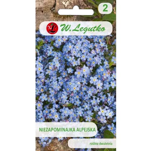 Vergissmeinnicht alpin blau Legutko interface.image 1 interface.art 78614