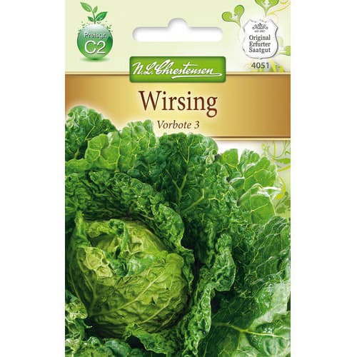 Wirsing Vorbote 3 interface.image 1 interface.art 78727