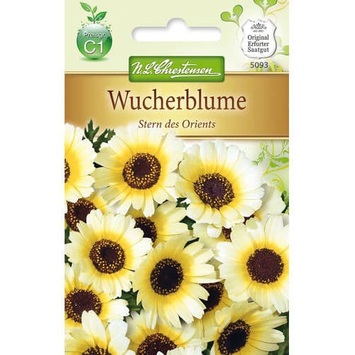 Wucherblume Stern des Orients interface.image 1 interface.art 78900