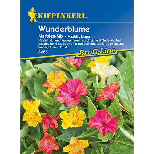 Wunderblume Marbles interface.image 1 interface.art 87762