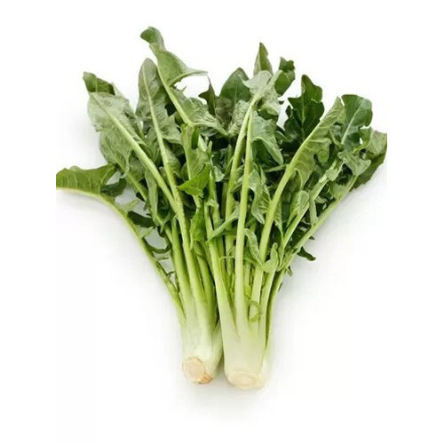 Zichorie Imero interface.image 1 interface.art 96501