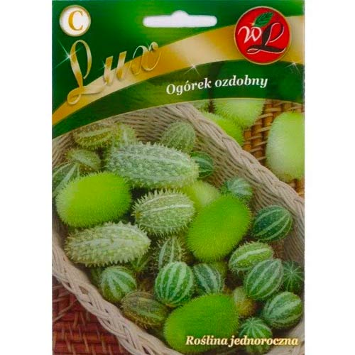 Ziergurke, Hybride Legutko interface.image 1 interface.art 50114