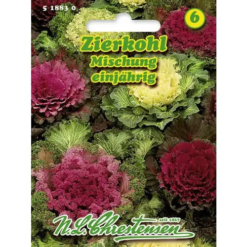 Zierkohl Mischung interface.image 1 interface.art 96404