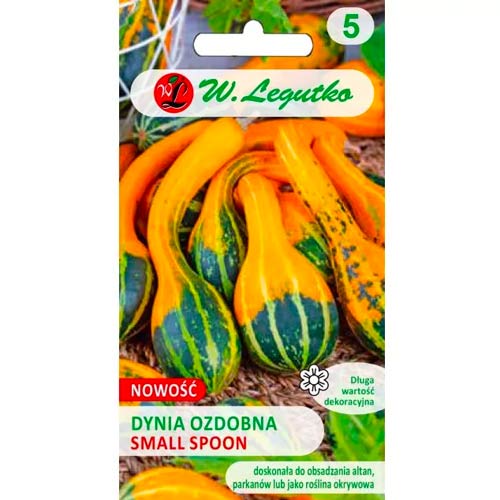 Zierkürbis Small Spoon Legutko interface.image 1 interface.art 96769