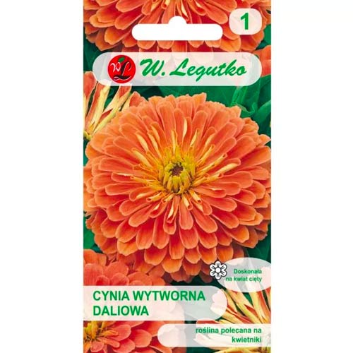 Zinnie Eldorado Legutko interface.image 1 interface.art 78543