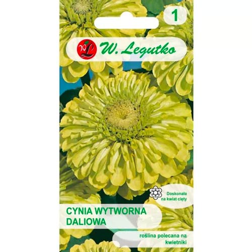 Zinnie Envy Legutko interface.image 1 interface.art 78544