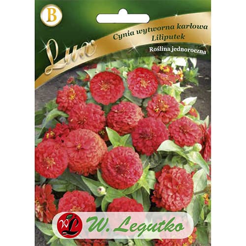 Zinnie Kleinblumige Liliputek rot interface.image 1 interface.art 78662