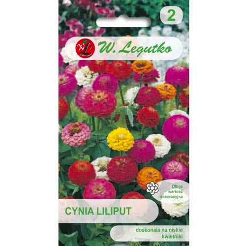 Zinnie Liliput mischung Legutko interface.image 1 interface.art 69578