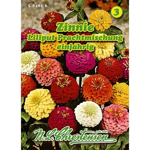 Zinnie Liliput Prachtmischung interface.image 1 interface.art 87823