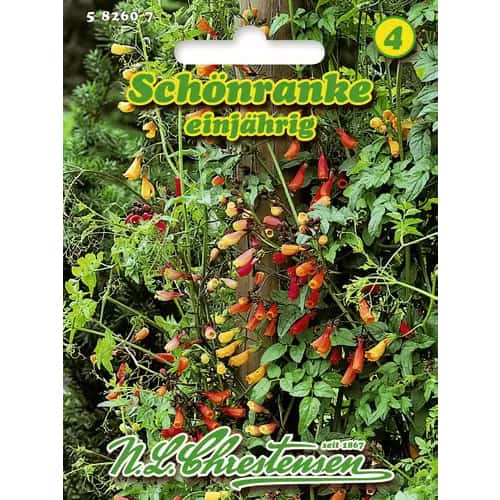 Schönranke interface.image 1 interface.art 96417