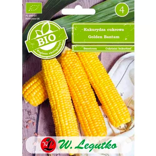 Zuckermais Golden Bantam Legutko interface.image 1 interface.art 50131