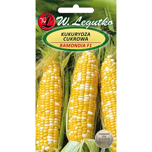 Zuckermais Ramondia F1 interface.art Bild 1 Zuckermais Ramondia F1 interface.image 1 interface.art 78480