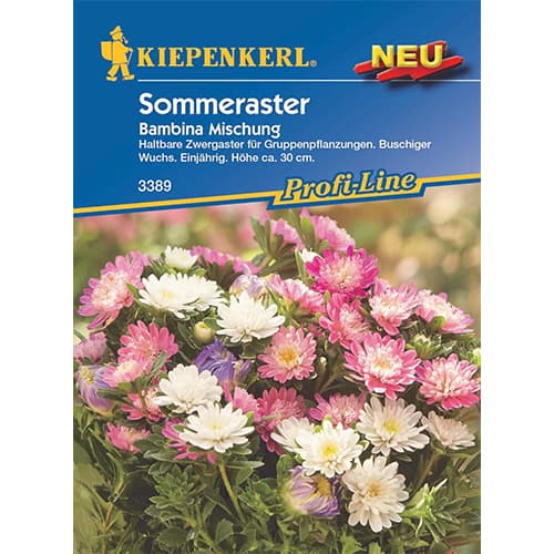 Zwergaster Bambina Mischung interface.image 1 interface.art 87764