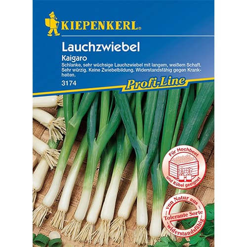 Bundzwiebel Kaigaro interface.image 1 interface.art 87283