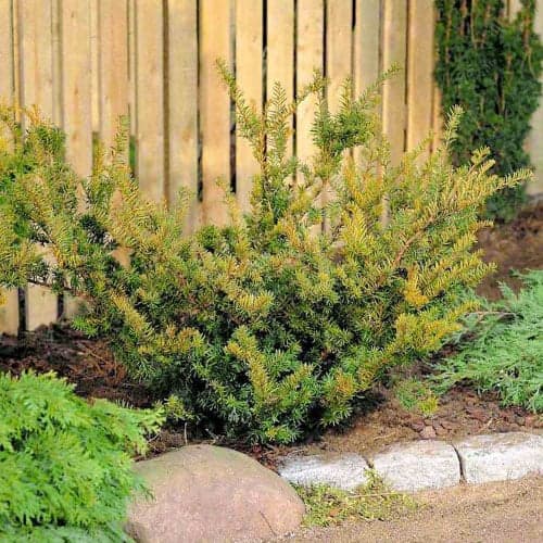 Zwischen-Eibe Farmen interface.image 1 interface.art 9690