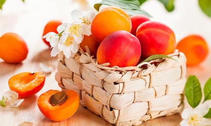 Ein Traum für Feinschmecker | Haus und Garten