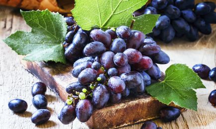 Reicher Geschmack | Haus und Garten