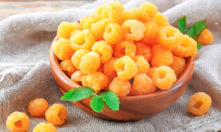 Süße Beeren | Haus und Garten