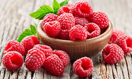 Vitamin Dessert | Haus und Garten